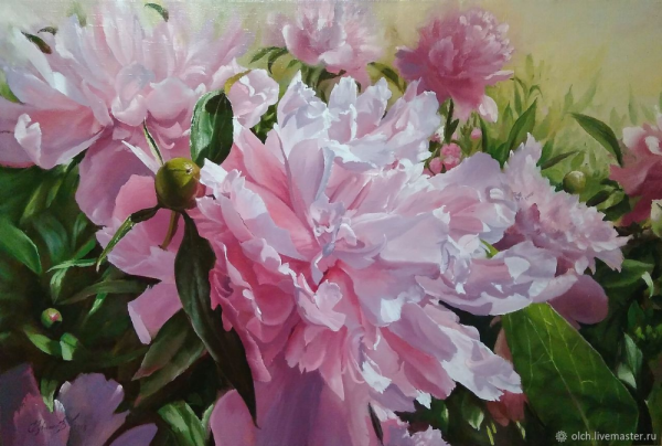 Розовые пионы Олег Чувашев
