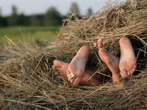 Сергей Кузнецов сеновал