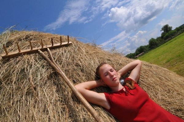 Сенокос сеновал