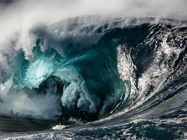 Уоррен Килан фотограф