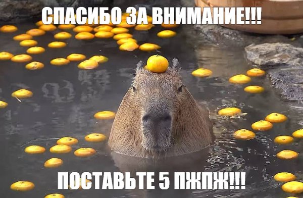 Водяная Свинка капибара