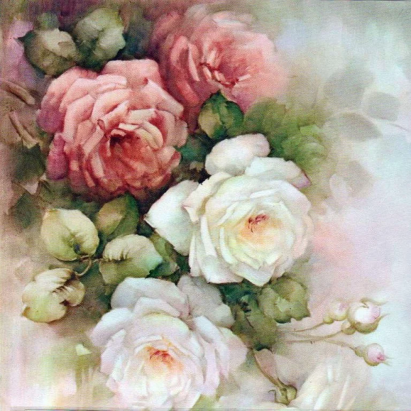 Цветы Sonie Ames