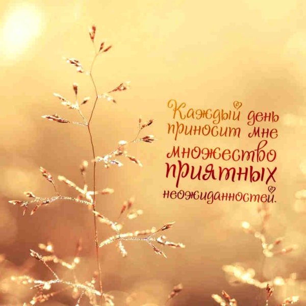 Аффирмация дня