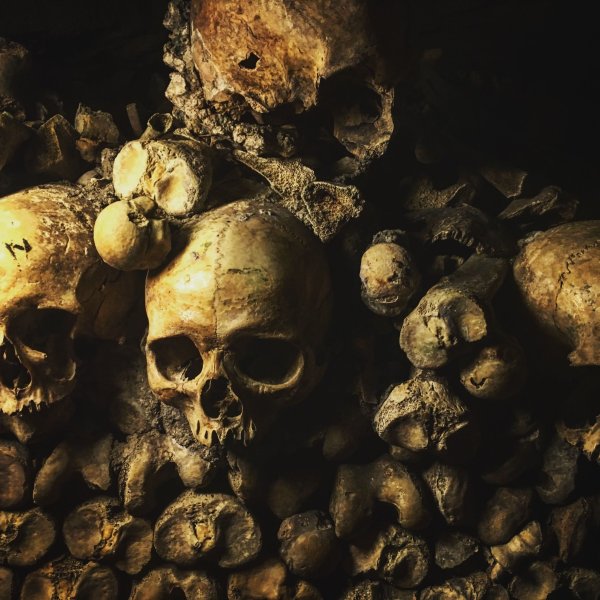 Много черепов