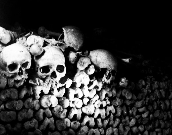 Стена из черепов
