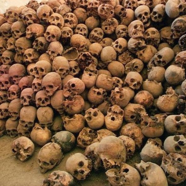 Много черепов