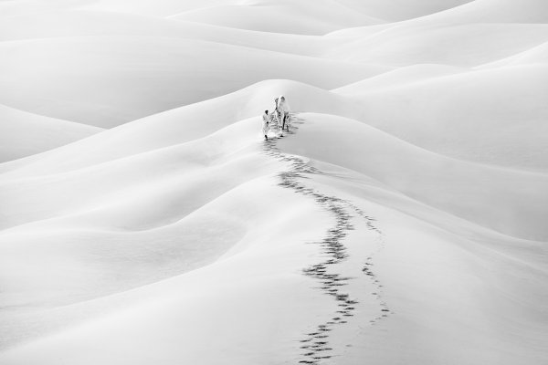 Живопись Минимализм пустыня