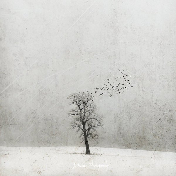 Минимализм в живописи