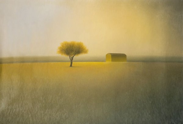 Художник минималист Хосе Бассо