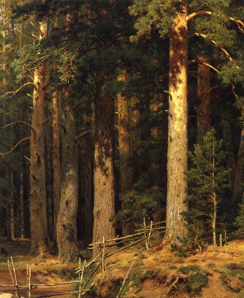 Корабельная роща Шишкин