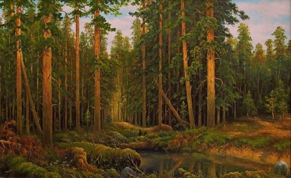 Корабельная роща Шишкин