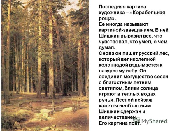 Корабельная роща 1898 Шишкин