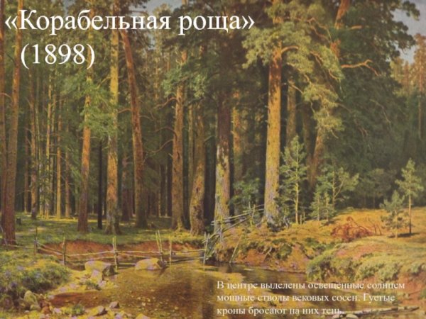 Корабельная роща Шишкин