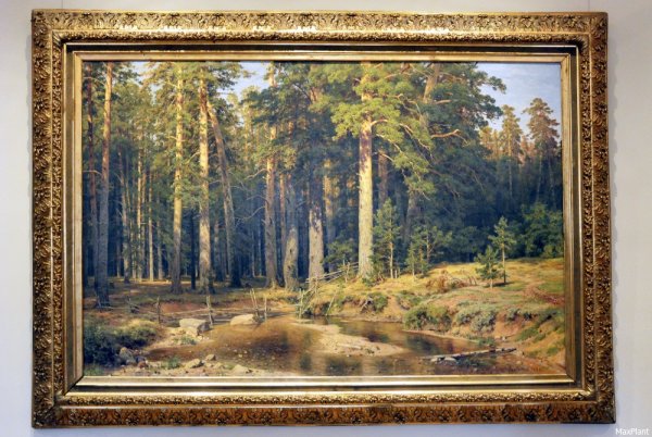 Иван Иванович Шишкин картина Корабельная роща