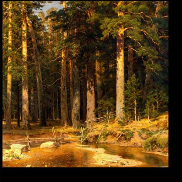 Картина Шишкина Корабельная роща