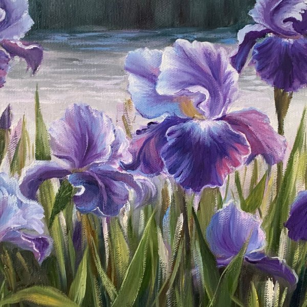 Дэрил Тротт ирисы