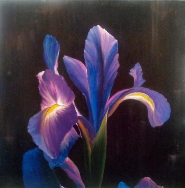 Жанна Когай художник ирисы