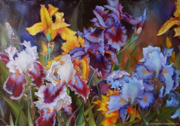 Картина Осипенко Николай Николаевич ирисы