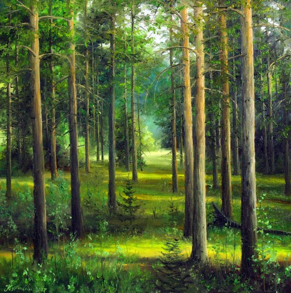 Шишкин Сосновый лес