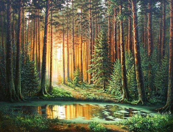 Утро в лесу картина