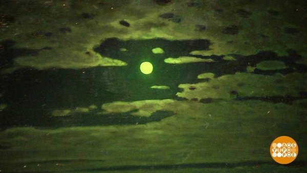 Архип Иванович Куинджи Дарьяльское ущелье Лунная ночь