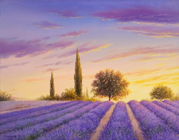 Лавандовое поле .Моне Клод Моне