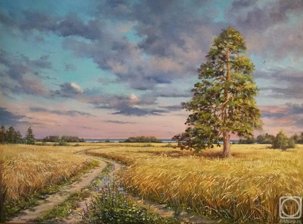 Пейзажи Сергея Басова рожь