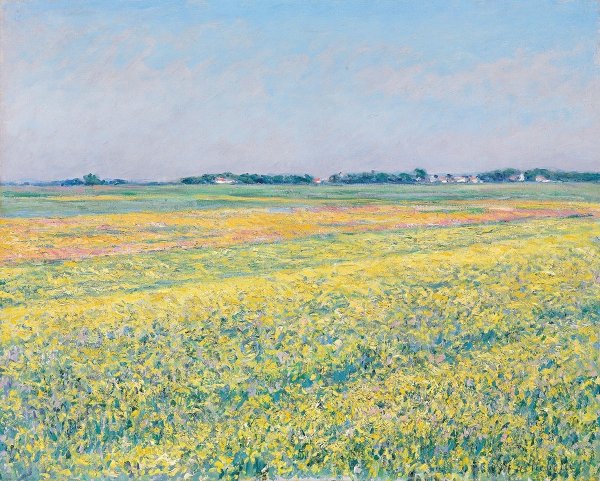 Живопись Эдуард Панов..цветочные поля