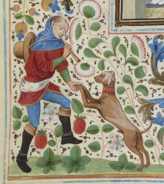 Собаки в средние века