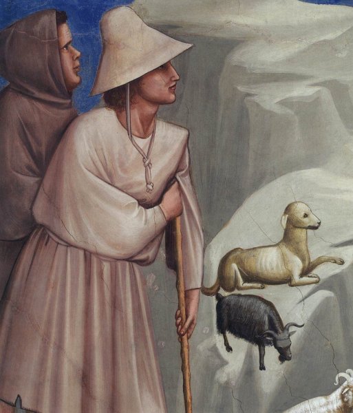 Джотто встреча Марии и Елизаветы фреска