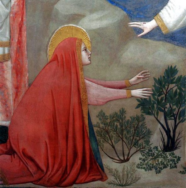 Джотто ди Бондоне Рождество