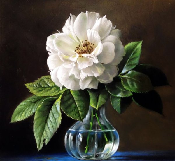 Питер Вагеманс (Pieter Wagemans)