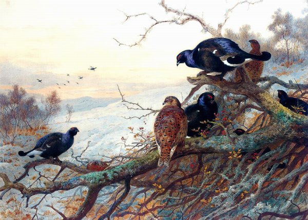 Арчибальд Торберн