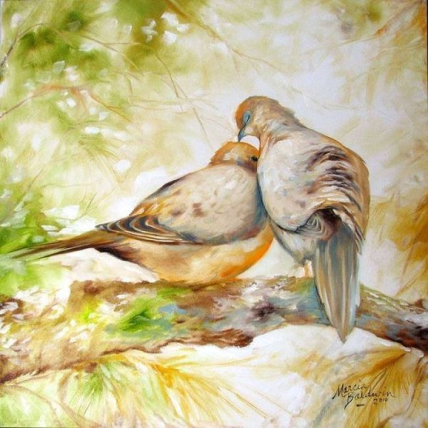 Художник dove Wildlife