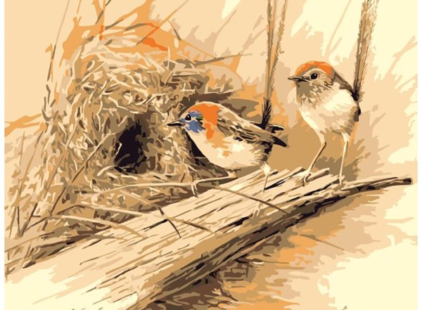 Эрик Шепард птицы