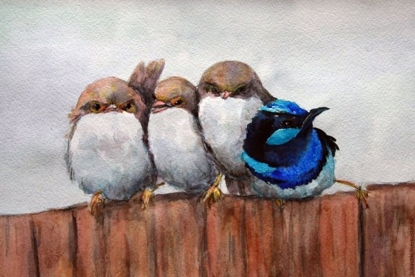 Картина птицы