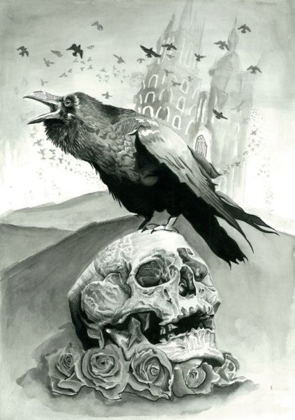 Череп с вороном
