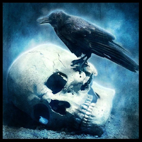 Брутальный череп