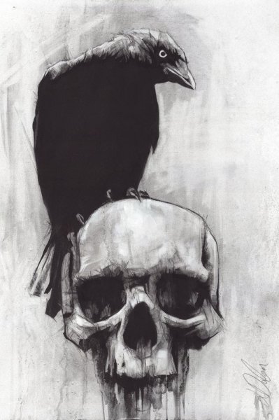 Ворон сидит на черепе