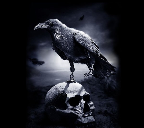 Череп с вороном