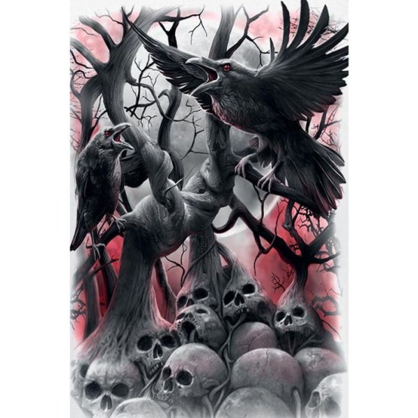 Ворон на Камне