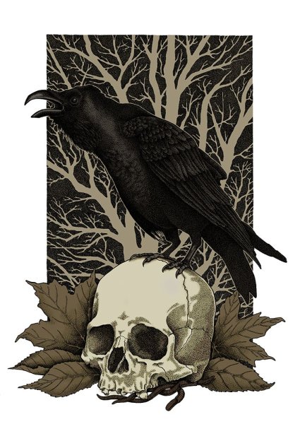 Птица Могол Славянская мифология