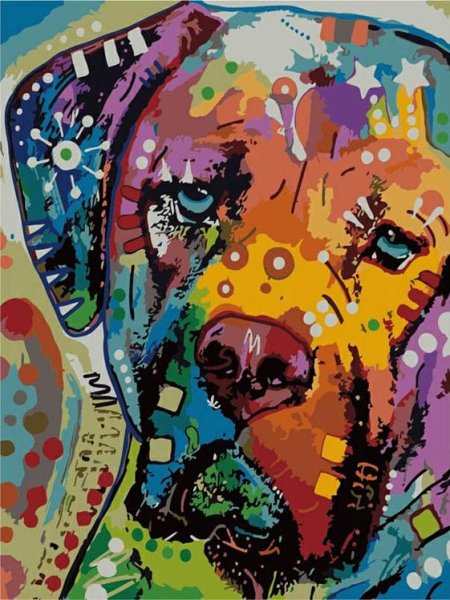 Яркие картины