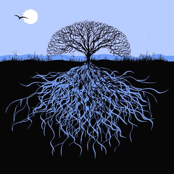 Дерево и корни фрактал