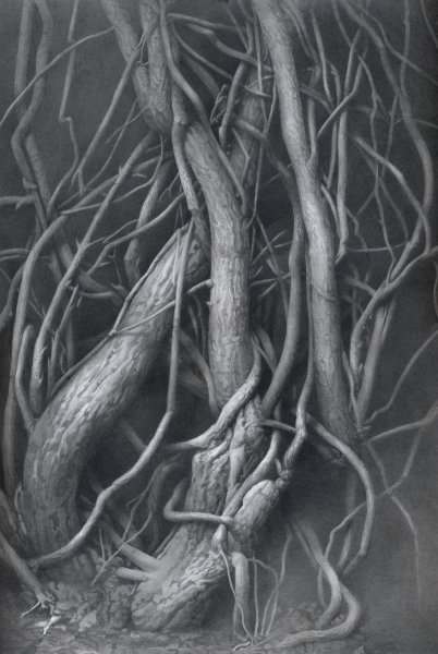 Переплетение веток