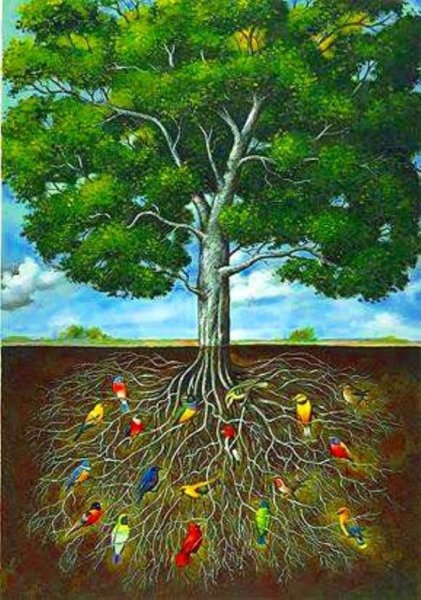 Рафал Олбински дерево с корнями