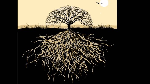 Сказочное дерево с корнями