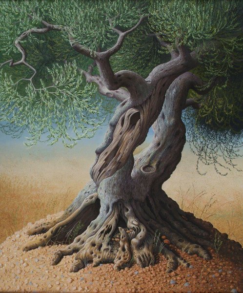 Дерево и сердце в корнях