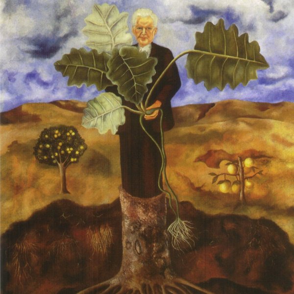 Дерево с корнями и кроной