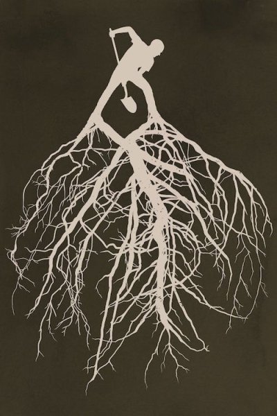 Корни вектор